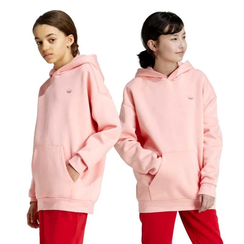 adidas Originals adidas Originals Hoodie (9000188251_78064)