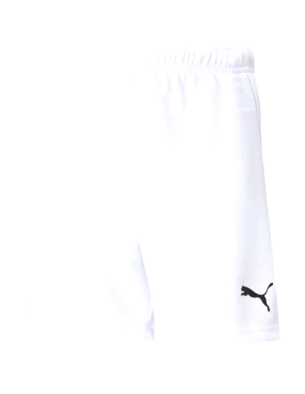 Puma Puma Teamrise 704943-03 Παιδικό Σορτς Εμφάνισης Ποδοσφαίρου