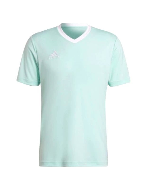 Adidas Entrada 22 Ανδρικό T-shirt Clear Mint Μονόχρωμο HC5073 φωτογραφία