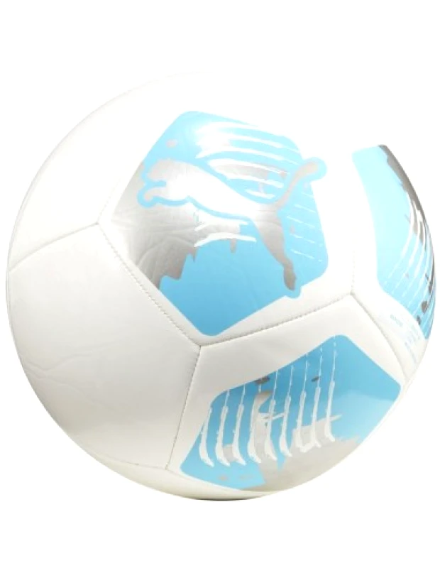 Puma Puma Big Cat football 84214 04