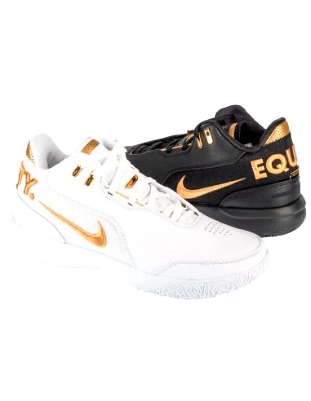 Nike Nike LeBron NXXT Gen AMPD FJ1566103