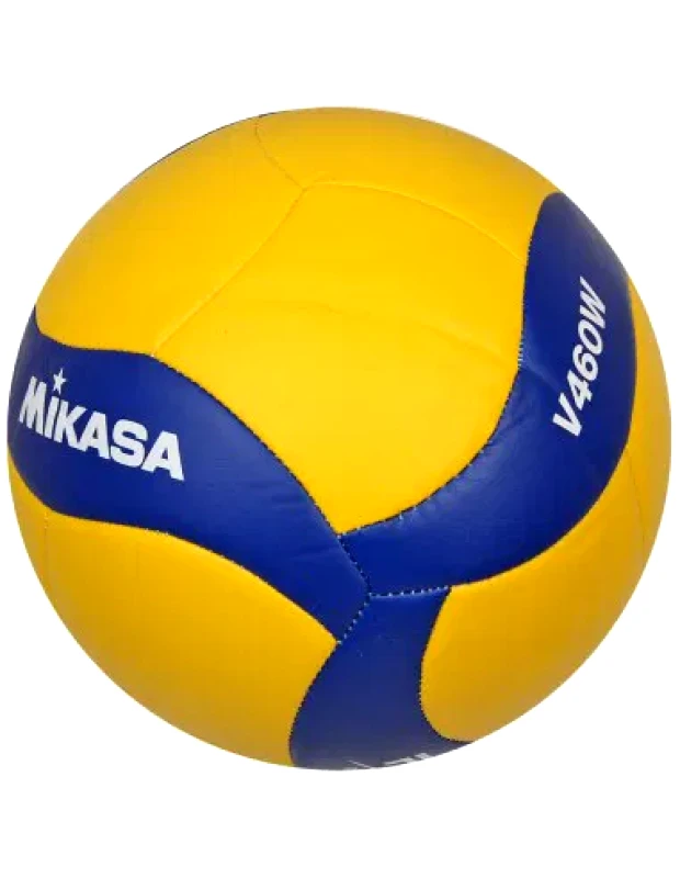 Mikasa Mikasa V460W ball