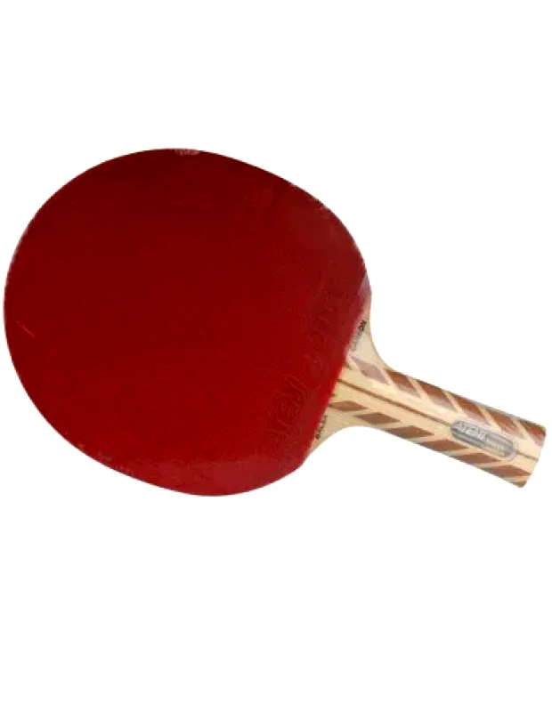 Atemi Atemi 500 table tennis bats
