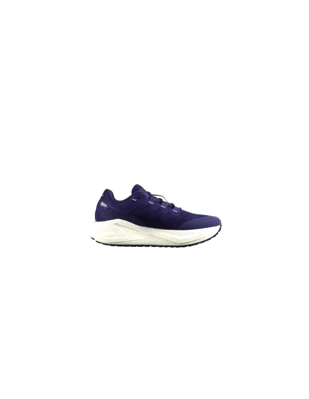 Salomon Salomon Aero Glide 3 GRVL L47870600