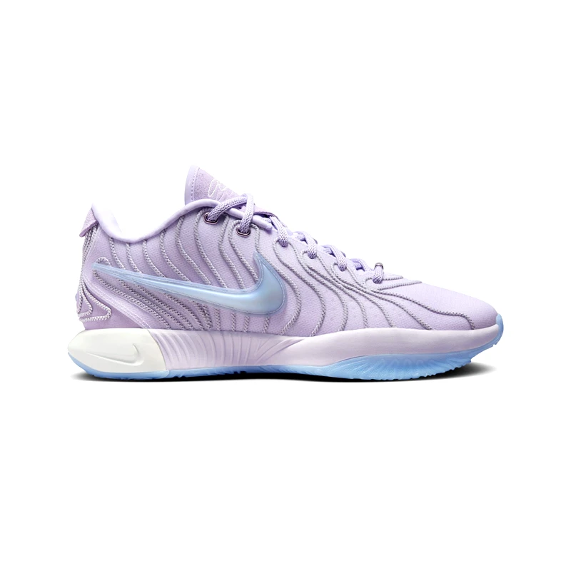 Nike NIKE LEBRON XXI HF5353-500 Μωβ
