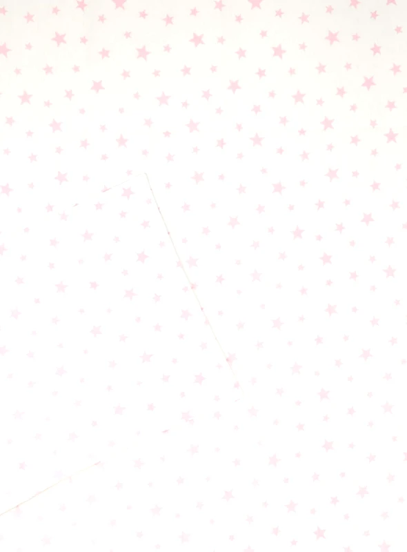 Energiers Βρεφικό σετ σεντόνι με μαξιλαροθήκη | ΡΟΖ