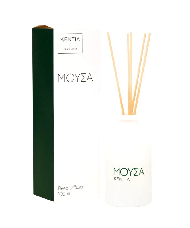 KENTIA MOOD 25 ΜΟΥΣΑ DIFFUSER SECRET WOOD 100ml
