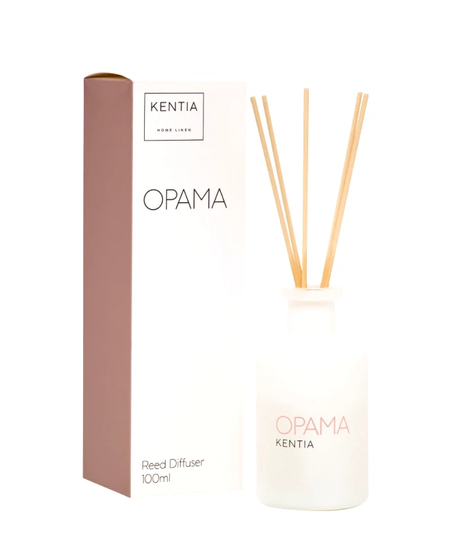 KENTIA MOOD 25 ΟΡΑΜΑ DIFFUSER DIAMOND SNOW 100ml