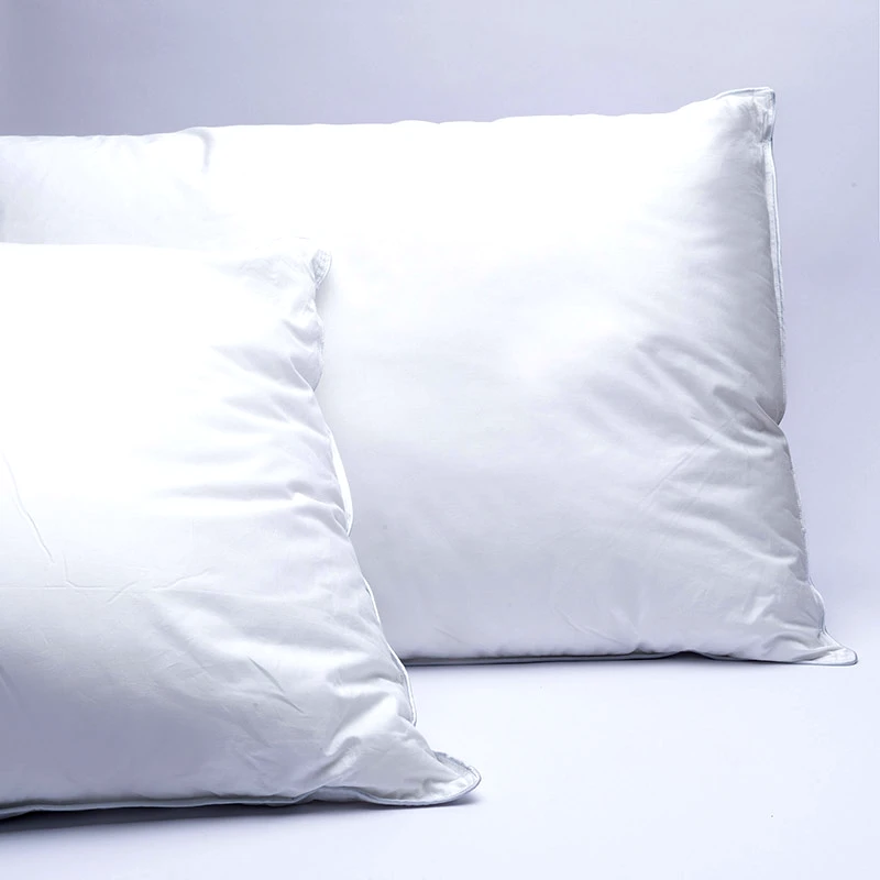 Palamaiki Μαξιλάρια Ύπνου (1+1) 50X70 Palamaiki White Comfort Sognio (50x70)
