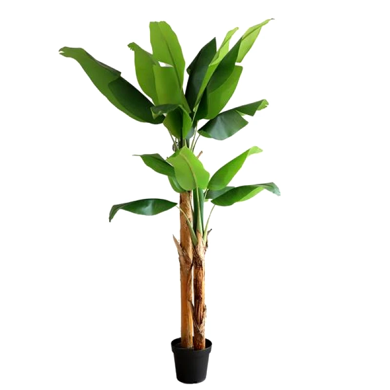 New Plan Διακοσμητικό Φυτό Banana Tree Np708_220 Ύψος 220Cm Newplan