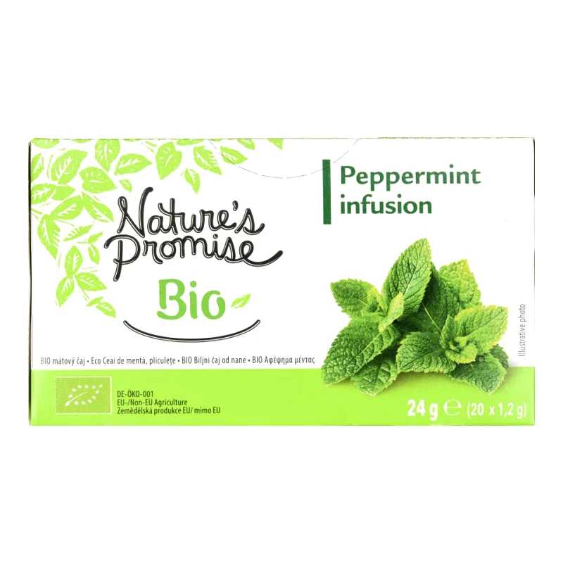 NATURES PROMISE BIO Αφέψημα Μέντα Bio 20x1.2g