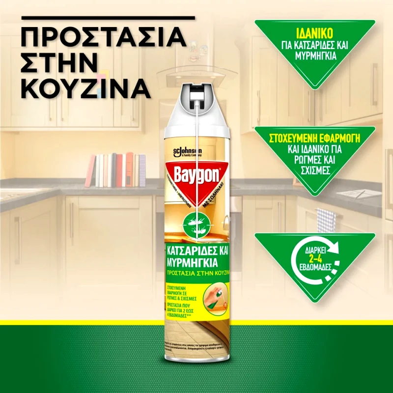 BAYGON Κατσαριδικτόνο με Σωληνάκι 400ml