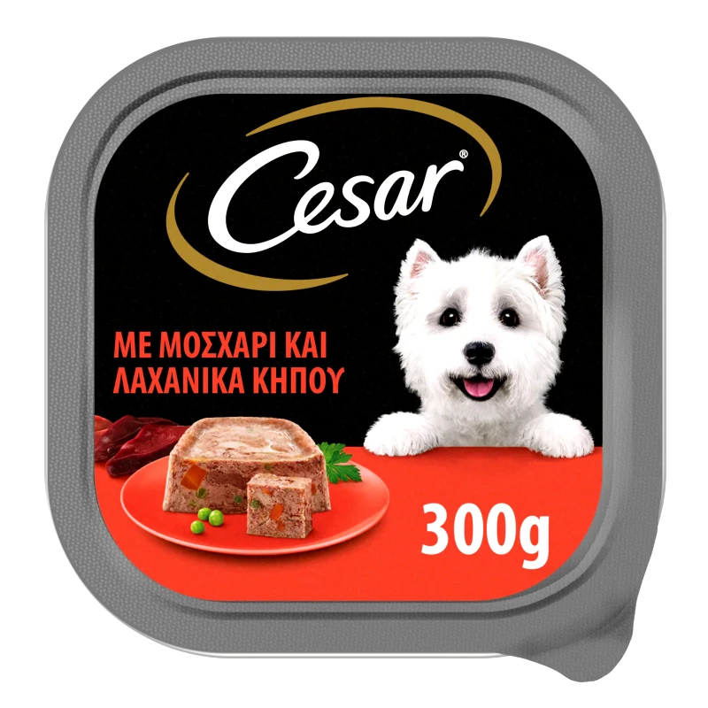 CESAR Σκυλοτροφή Μοσχάρι & Λαχανικά 300g