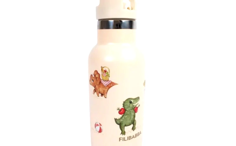 Back to School Filibabba Stainless Steel Water Bottle – Dino Beach