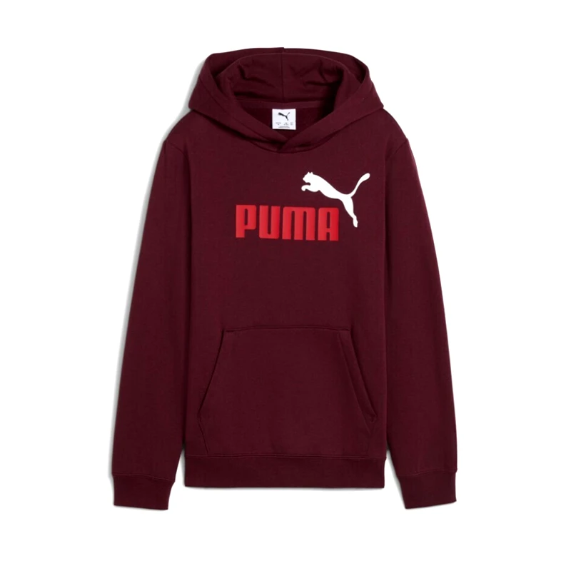 Puma Puma Kids Ess 2 Color No1 Logo Hoodie (685822-96)