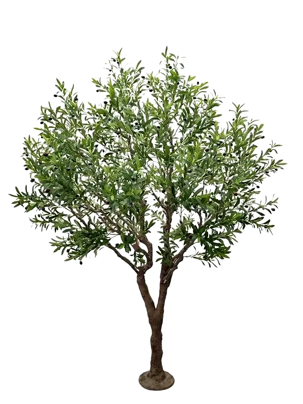 New Plan Olive Tree Np496_240_Uv Ύψος 240cm Newplan