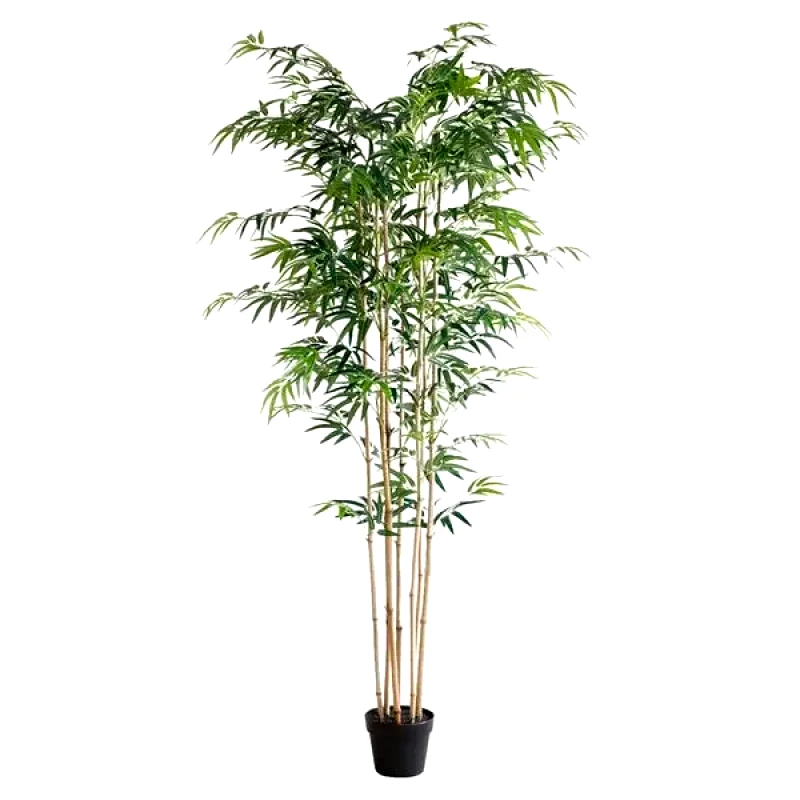 New Plan Bamboo Np0070_210 Ύψος 210cm Newplan