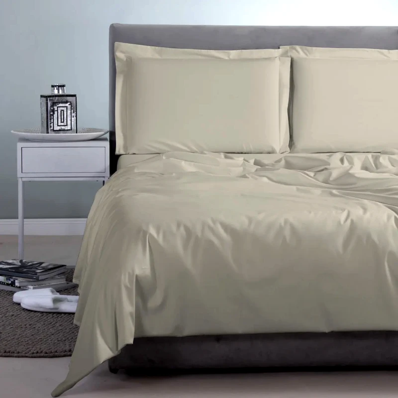 Aslanis Home Σεντόνι King Size Aslanis Home Μπεζ 250x270