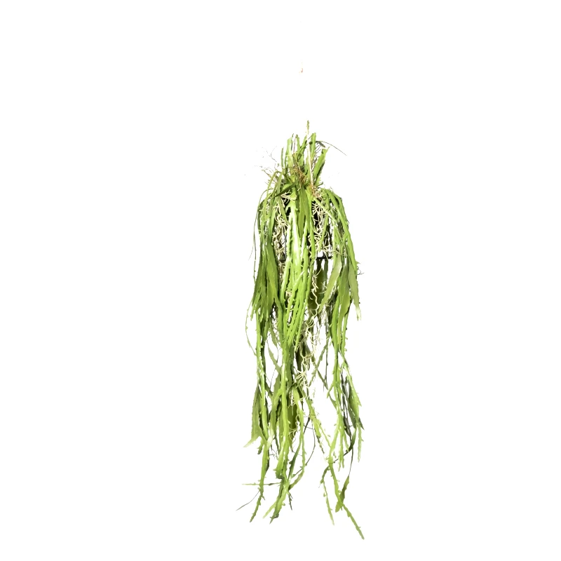 Supergreens Supergreens Τεχνητή Κρεμαστή Ρίζα/Φωτιστικό Επίφυλλο "Dama Noce" Πράσινη 106 εκ.