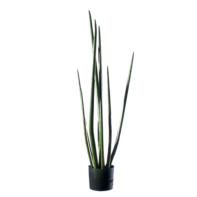 Supergreens Supergreens Τεχνητό Φυτό Σανσεβιέρα "Cylindrica" Πράσινο 22x26x105 εκ.