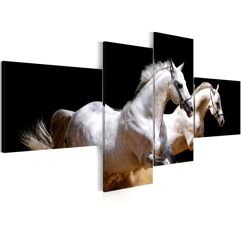 Πίνακας - Animal world- white horses galloping - 100x45 φωτογραφία