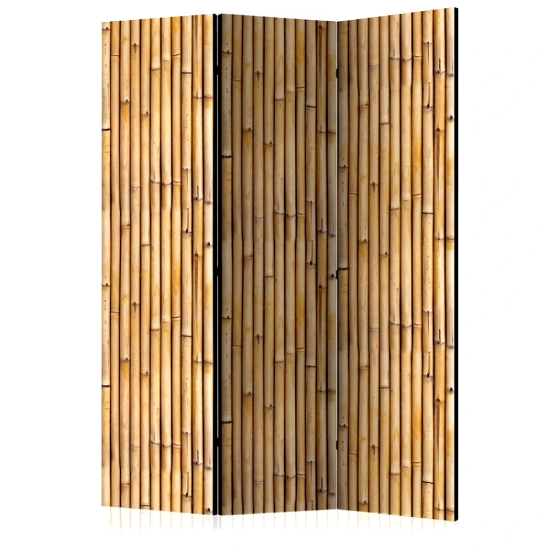 PoliHome Διαχωριστικό με 3 τμήματα - Amazonian Wall [Room Dividers]