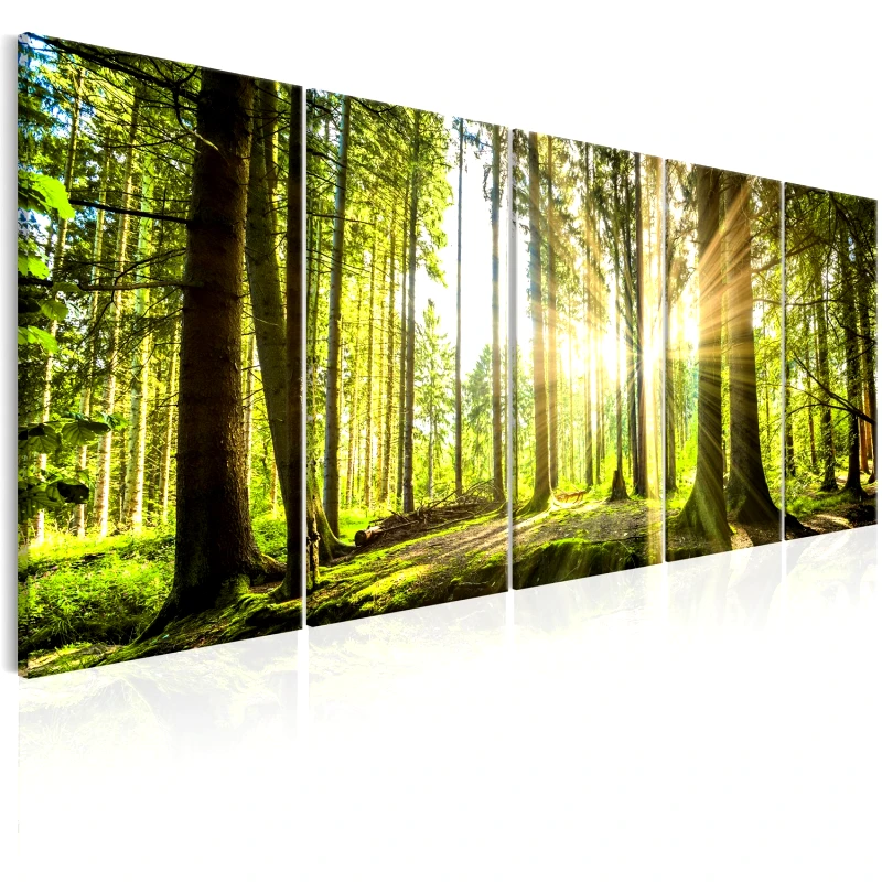 PoliHome Πίνακας - Sunlight 225x90
