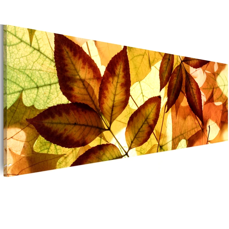 PoliHome Πίνακας - collage - leaves 120x40