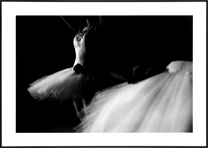 PoliHome Κάδρο Ballerina