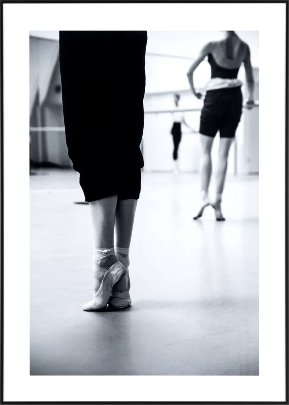 PoliHome Κάδρο Balletto