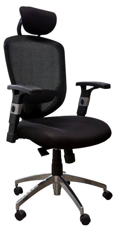 PoliHome Καρέκλα Διευθυντική Computech