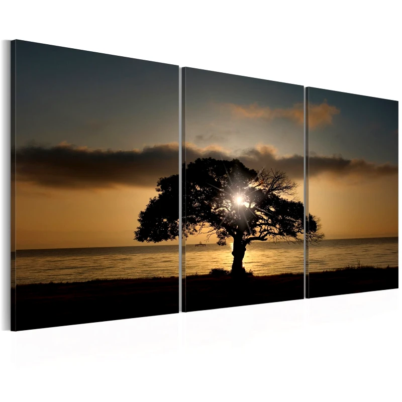 PoliHome Πίνακας - Extraordinary Nature 120x60