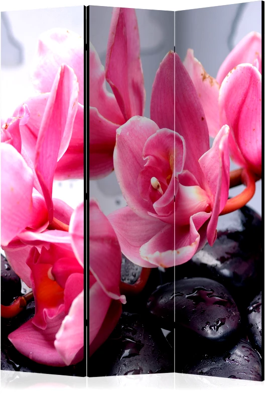 PoliHome Διαχωριστικό με 3 τμήματα - Orchid flowers with zen stones [Room Dividers]