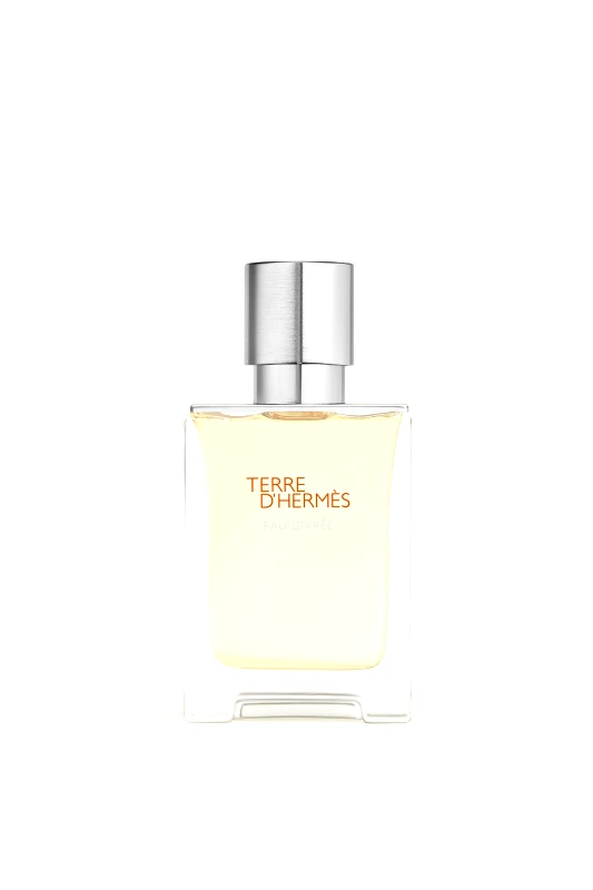 HERMÈS Terre d'Hermès Eau Givrée Eau de Parfum - 107535V0