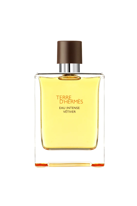 HERMÈS Hermès Terre d'Hermès Eau Intense Vétiver Eau de Parfum - 100057V0