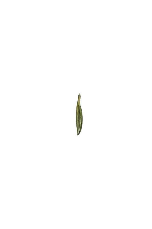 FOLLI FOLLIE Folli Follie γυναικείο επίχρυσο μενταγιόν "Anima Olea" - 1P25S003YE Πράσινο