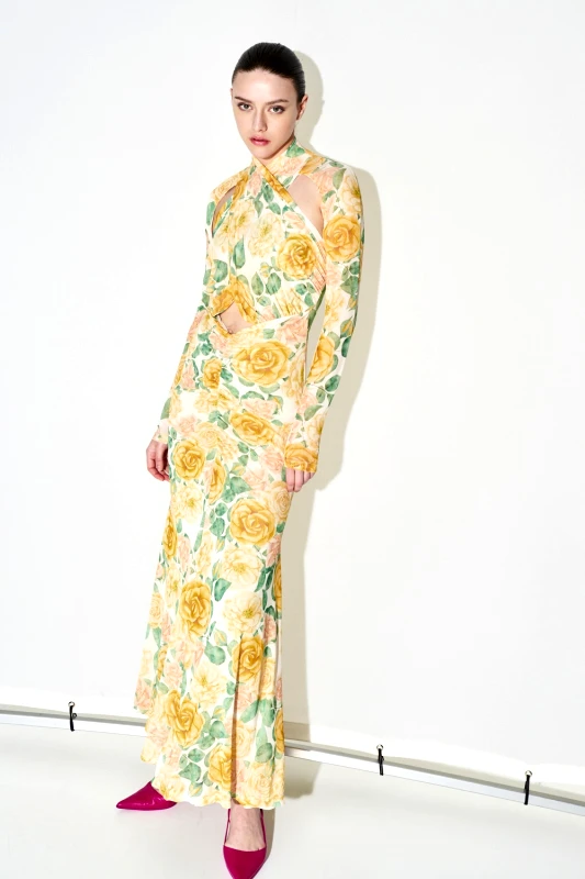 Lumina Maxi mesh dress με floral print