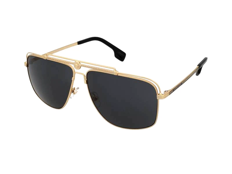 Versace Versace VE2242 100287