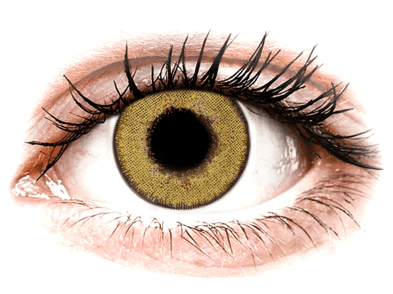 TopVue TopVue Daily Color - Pure Hazel - Ημερήσιοι φακοί Μη διοπτρικοί (2 φακοί)