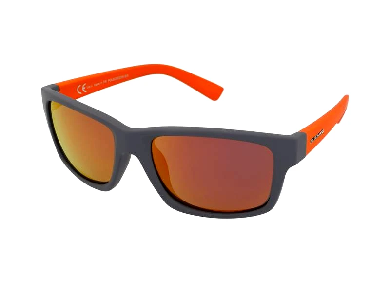 Blizzard Blizzard POLSC602 055