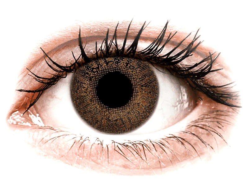 TopVue TopVue Color - Brown - Μη διοπτρικοί (2 φακοί)