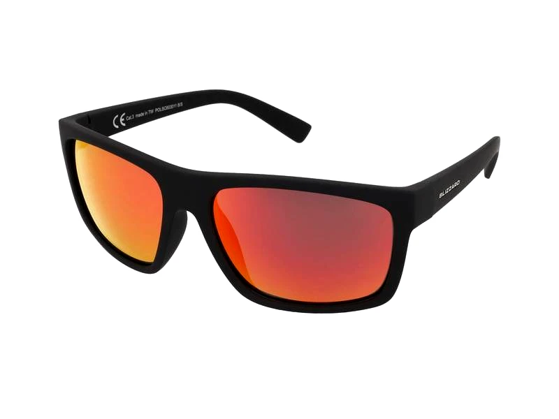 Blizzard Blizzard POLSC603 011