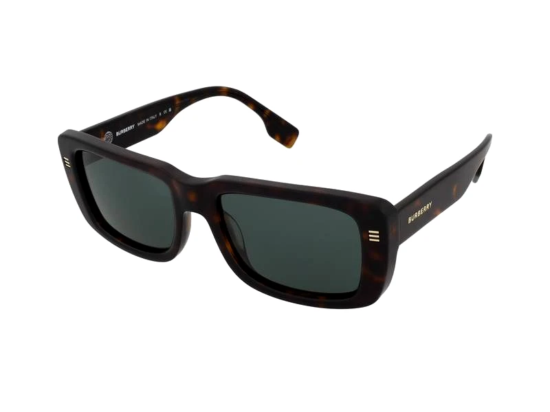 Burberry Burberry Jarvis BE4376U 300271