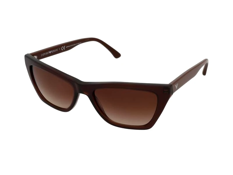 Emporio Armani Emporio Armani EA4169 591013
