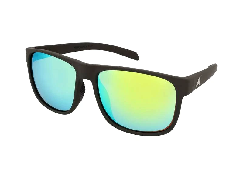 Alpina Alpina Nacan III Coffee Grey Matt