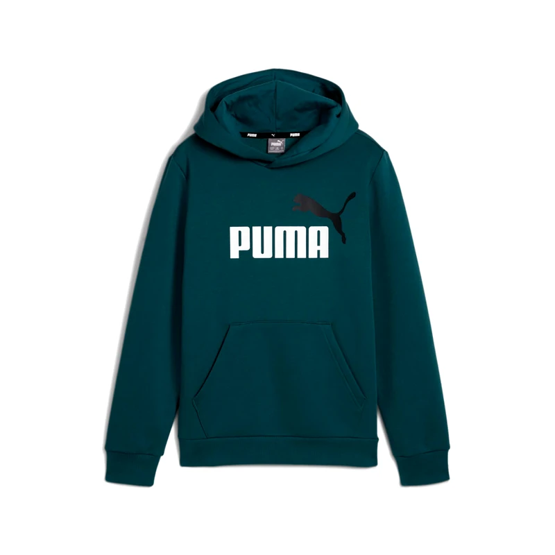 PUMA PUMA ESSENTIALS+ TWO TONE BIG LOGO HOODIE ΠΡΑΣΙΝΟ