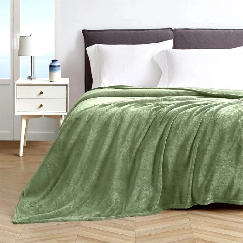 Lino Home LINO ΚΟΥΒΕΡΤΑ ΒΕΛΟΥΤΕ PELLO MINT 160X220 Ημίδιπλο