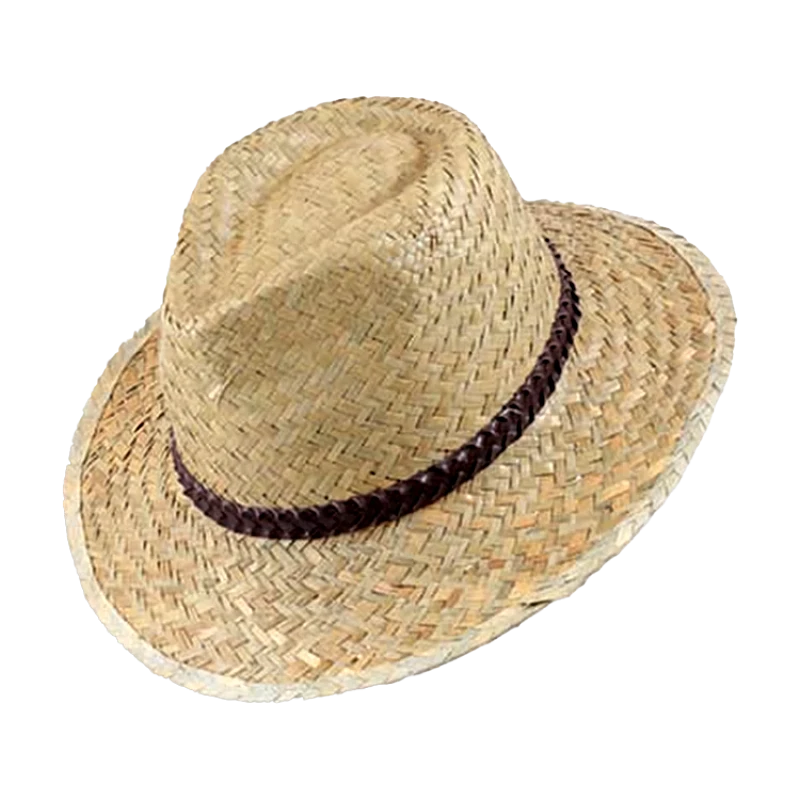 Westin Ρεπούμπλικα | Karfil Hats Natural
