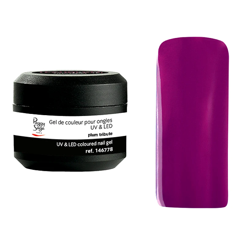 Peggy Sage GEL UV & LED ΧΡΩΜΑΤΙΣΤO 5gr. Plum Τribute