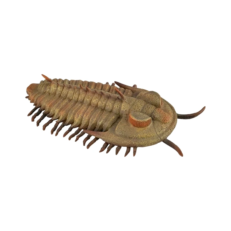 Collecta Collecta Τριλωβιτης Ρεντλιχια (88906)